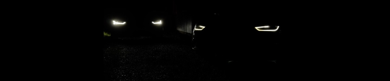 Zebastian Löfgren Asp