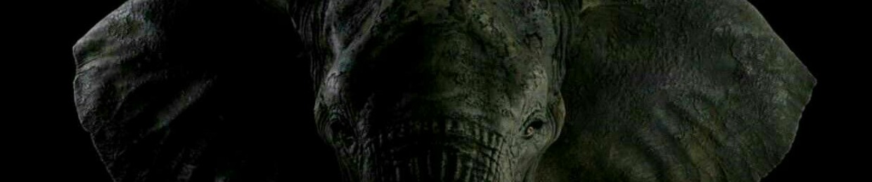 B E E Z Y M U R D E R Z