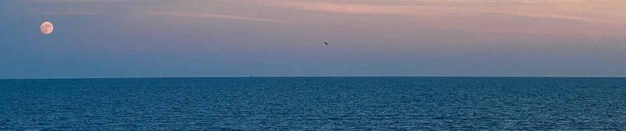 Victor “nmagko” C