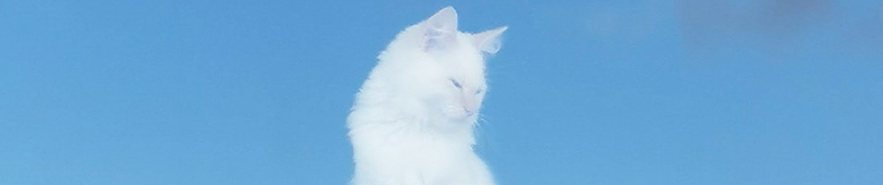 Nyx,