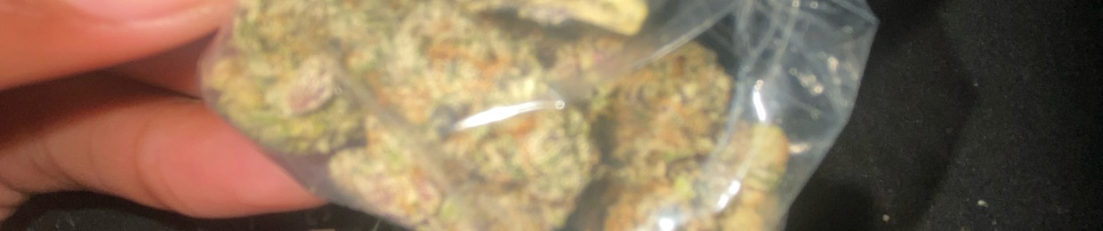 swiisscheezë