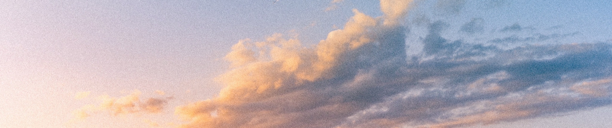 Stream カンケイナイトファンキー Covered By あらき めいちゃん By Scoop Listen Online For Free On Soundcloud