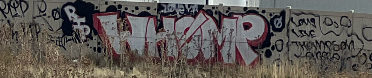 FELON