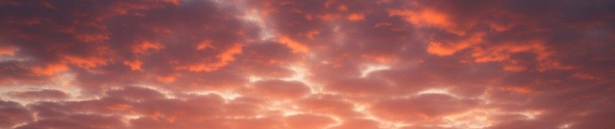 Parallel View