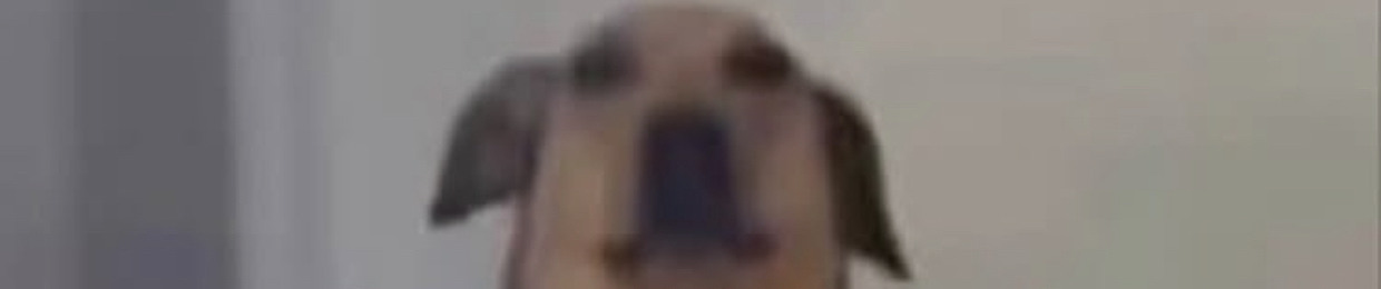 TooLi