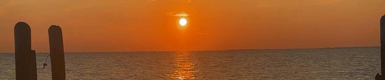 The Sun & The Stars