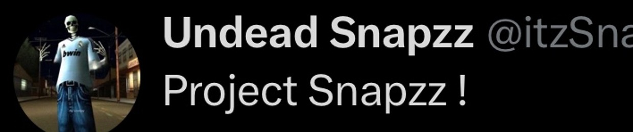 Sir Snapzz