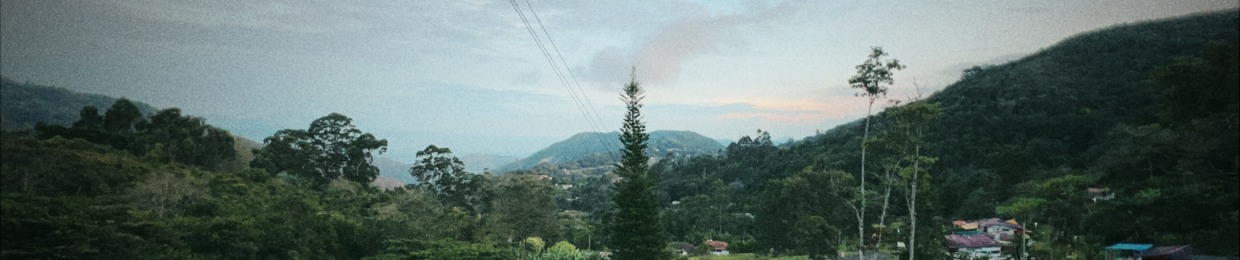 DPJAV.