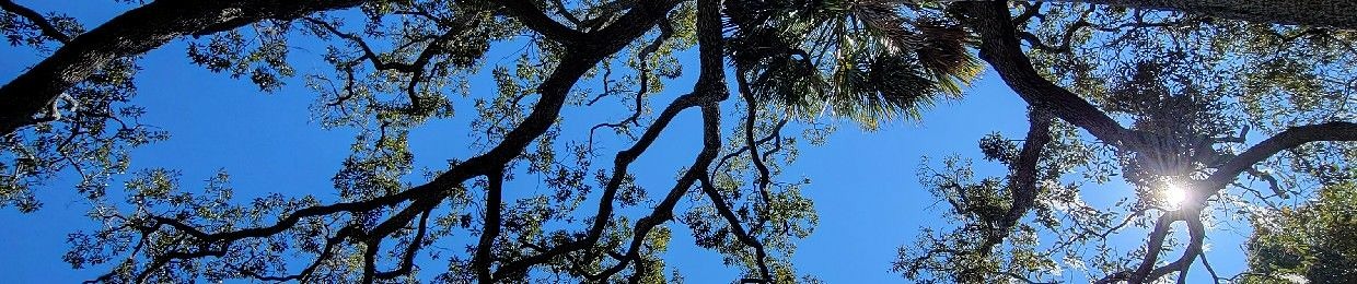 Scratch and Press Play.