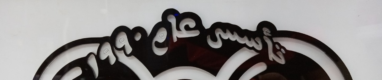 Amr shaheen