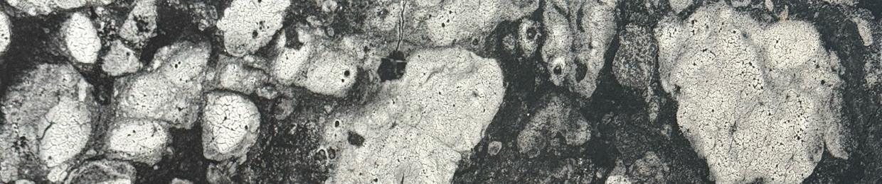 YUKKI