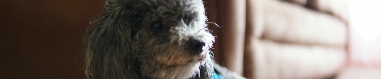 Gabriel Vargas Barrios