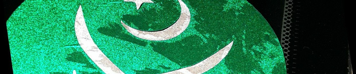 افضل خان سلمانخیل