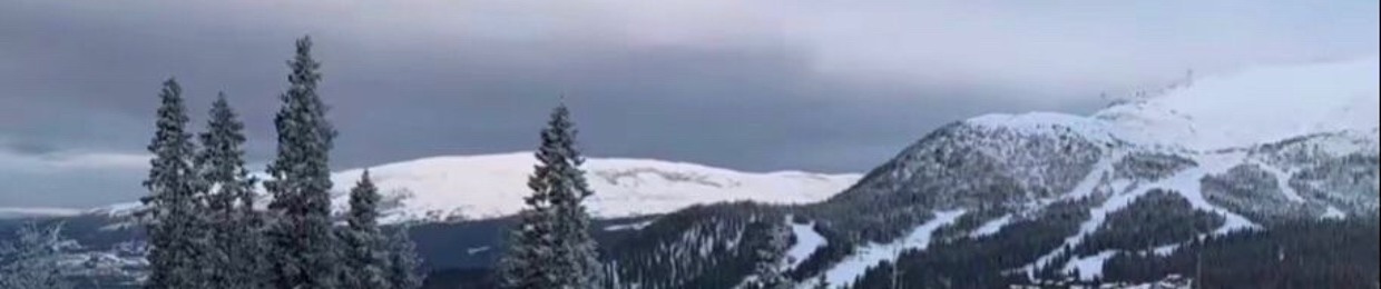 hvntxr (@damnhvntxr)