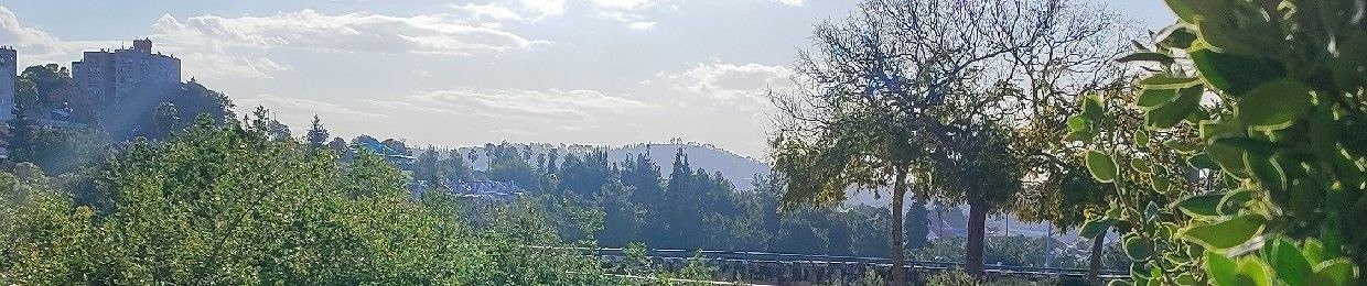 אברהם שטרית