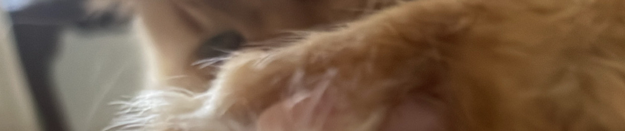 prqie