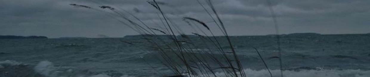 ミ〔sleepy..brwsh ࣪˖✦ ·₊˚.