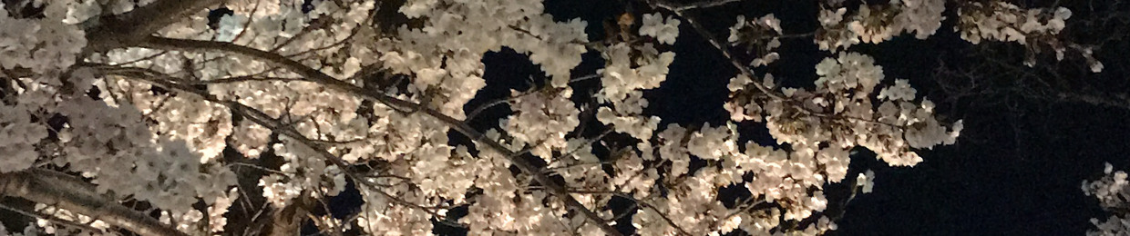 윤정