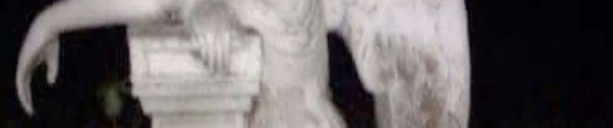 Nohaloangel