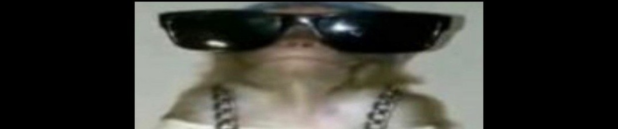 ¿?