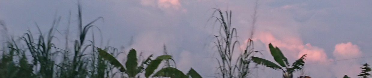 Tiêu Dao