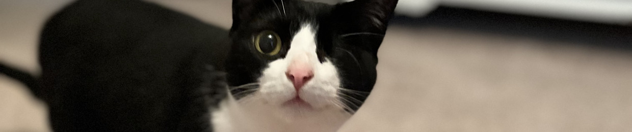 - a c e -  [they/them]