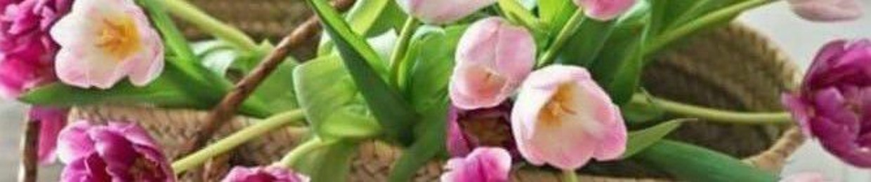 ahmed_ezz