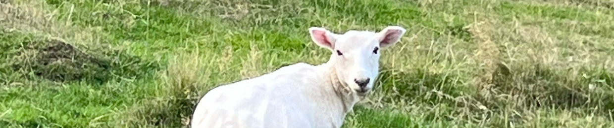 Goose
