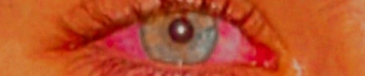 נחמן סולומון