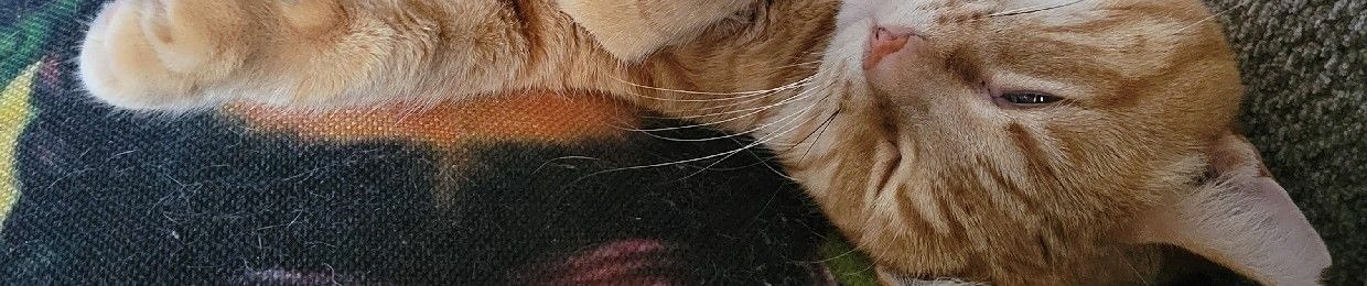 Pez