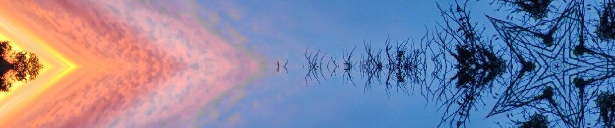 Mÿu // Ko(e)Dama