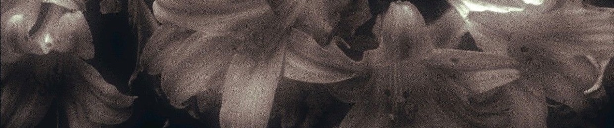 XCV KEI (Ex-see-vee Key)