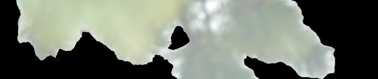 INBIO