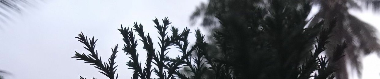 Morning~Dew