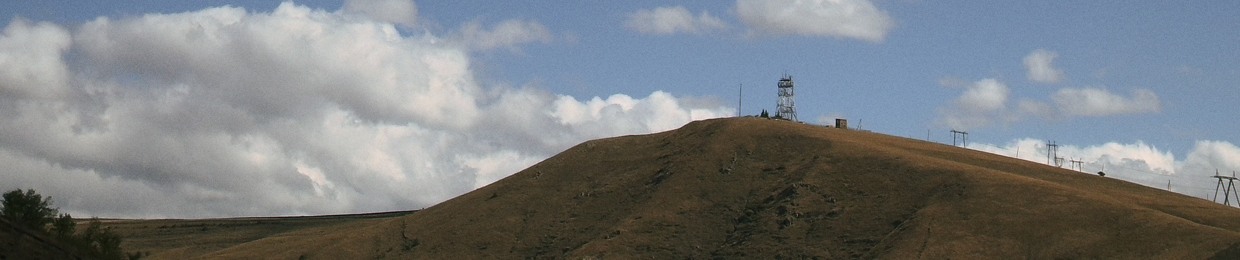 McWi11da