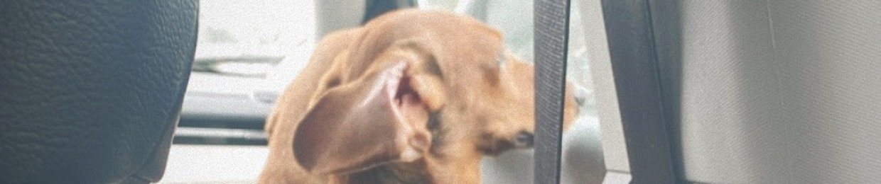 squirrted