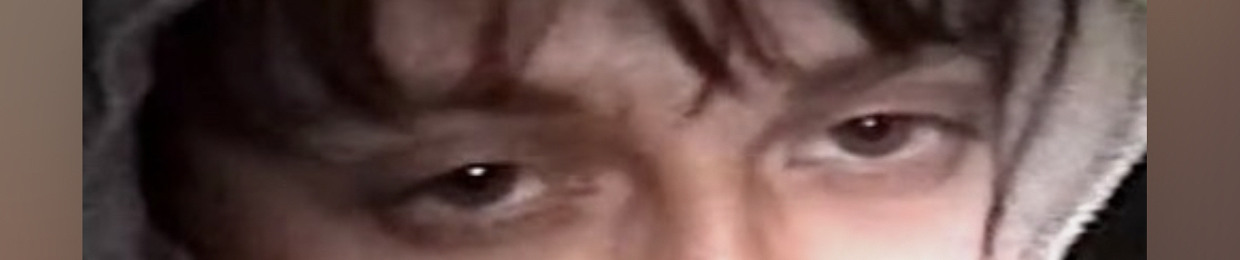 dlsew_