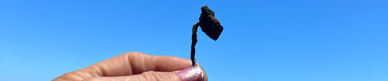 Songs from the heart