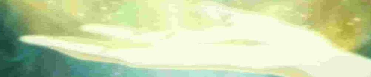 elsalch