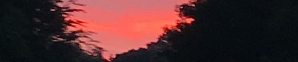 𝐆𝐈𝐑𝐋𝐓𝐖𝐈𝐍𝐊