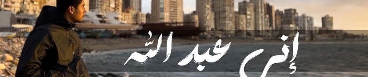 محمد الجنجيهي
