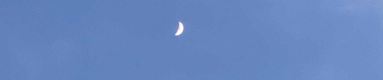 La Thị Bảo Ngọc