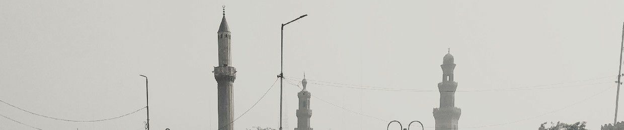 Waleed Omar