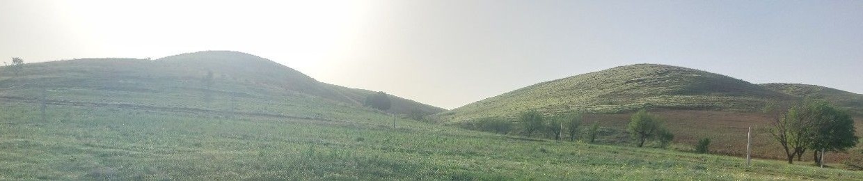 amir