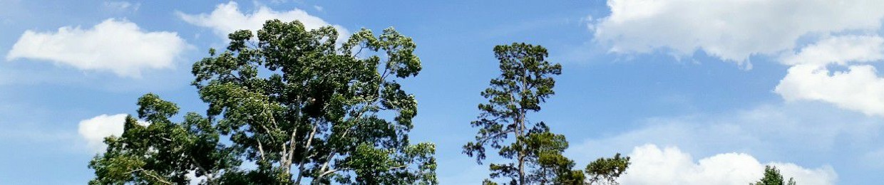 Sonya McIntyre-Handy