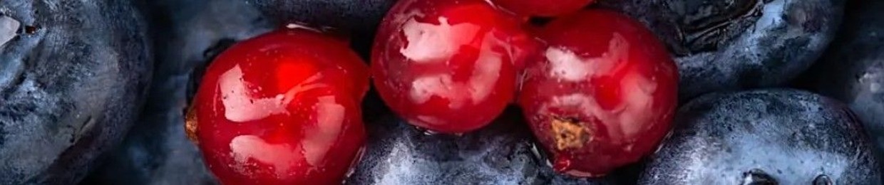 ‫ادم فرعون