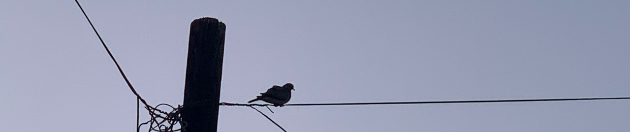 فاطِمة