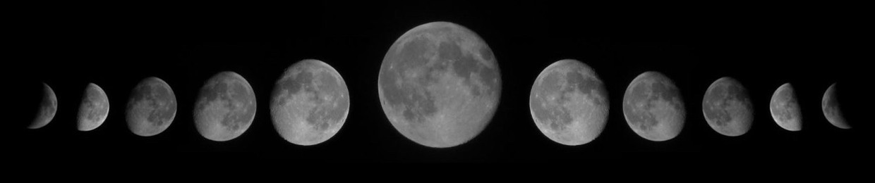 Phoxe