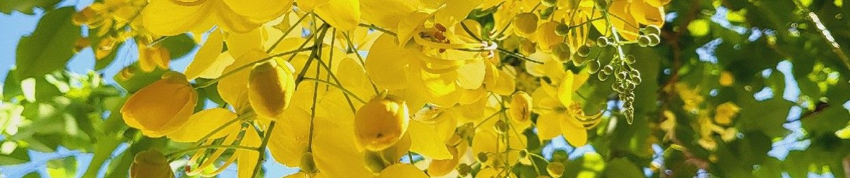 e.