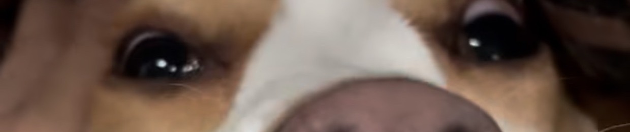 🦦